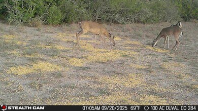 0 County Road 284 Rd unit ACT3597914, Benavides, TX 78342 - photo 7