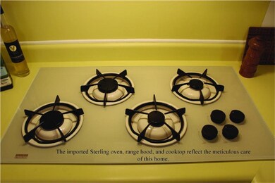Detail: Imported Appliances