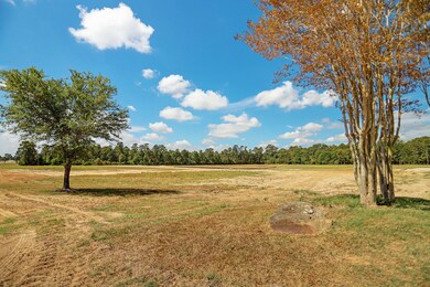 2212 Stallion Lakes Ave, Hockley, TX 77447 - photo 6