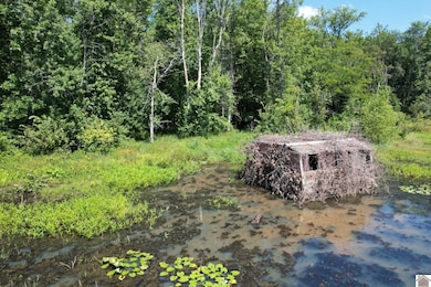 0 Mayfield Rd, Wickliffe, KY 42087 - photo 6