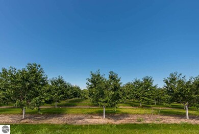 8514 E Lincoln Rd, Cedar, MI 49621 - photo 6