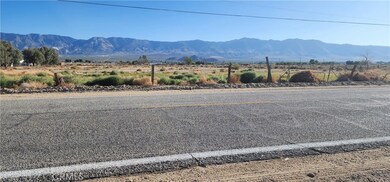 0 Rabbit Springs Rd unit RS25232464, Lucerne Valley, CA 92356 - photo 2