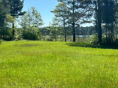 10041 Grassy Lake Rd, Boulder Junction, WI 54512 - photo 5