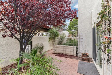 3-web-or-mls-E Onda Cir-003
