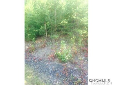 11 Balsamwood Dr, Leicester, NC 28748 - photo 4