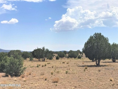 554 N Outback Rd, Ash Fork, AZ 86320 - photo 4