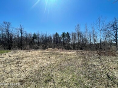 297 Wilton Gansevoort Rd, Gansevoort, NY 12831 - photo 6