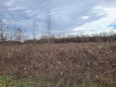 01 Col James Hardin Rd, Clifton, TN 38372 - photo 4