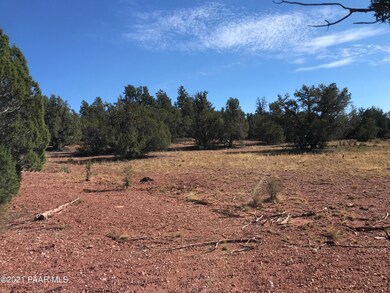 43c SW Off of Arizona Rd, Ash Fork, AZ 86320 - photo 4