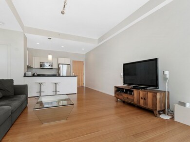 Sierra & Tango Condominiums unit T902, Cambridge, MA 02141 - photo 2