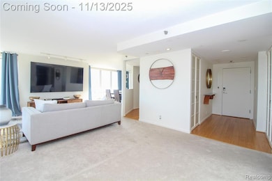 Living room featuring light carpet, light wood-style flooring, and track lighting