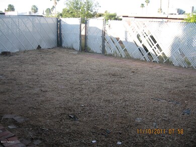 back yard