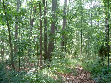 74 Marcey Ct unit 1, Littlestown, PA 17340 - photo 5