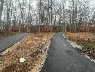 137  Lot 54 Yellowstone Dr unit Lot 54, East Bernstadt, KY 40729 - photo 4