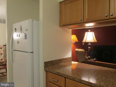 420 Aurora St unit 1B, Cambridge, MD 21613 - photo 5