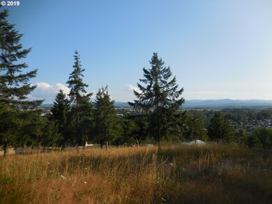 0 NE Center St, Sheridan, OR 97378 - photo 4