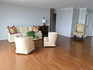 Imperial Towers unit 715, Chestnut Hill, MA 02467 - photo 3