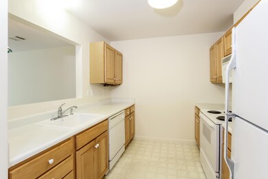 012-photo--6115179