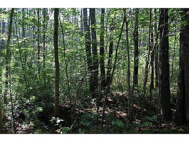 00 Elden Rd, Buxton, ME 04093 - photo 4