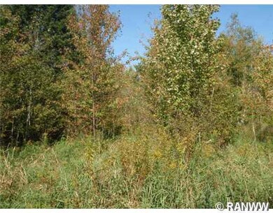 0 Edming Rd, True, WI 54526 - photo 6