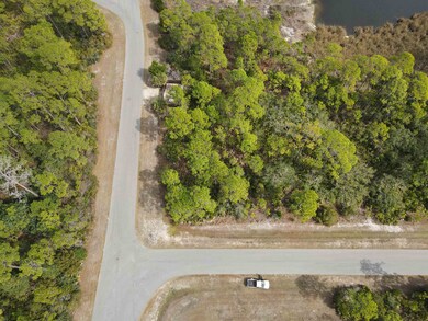 0 Turtle Creek Ln unit 381815, Ochlockonee Bay, FL 32346 - photo 6