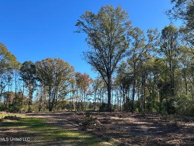 No Warren Cook Rd, Mendenhall, MS 39114 - photo 3