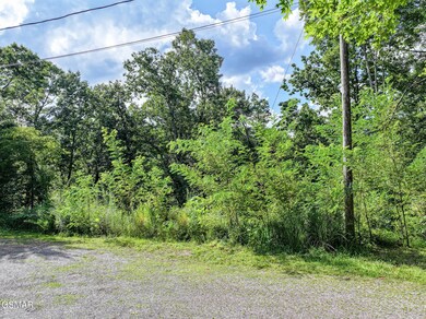 199 Tsali Way, Sevierville, TN 37876 - photo 6