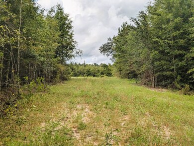 0 Grimsley Rd, Gordon, AL 36343 - photo 5