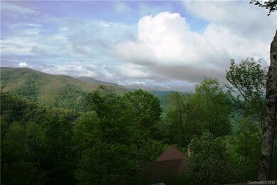 787 Overlook Dr unit 37, Mars Hill, NC 28754 - photo 3