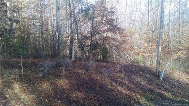 9.76 acres Mt Zion Church Rd, Alexis, NC 28006 - photo 2