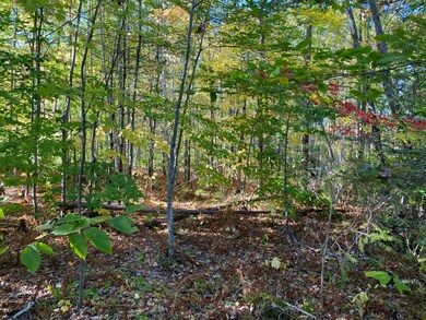 Looking into Center of lot