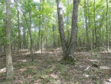 2136 S Chapel Hill Church Rd, Denton, NC 27239 - photo 7