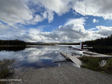 21387 E Quarah Lake Ave, Talkeetna, AK 99676 - photo 4
