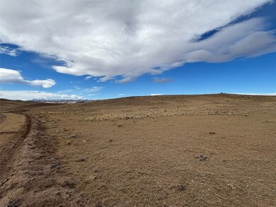 3779 Uxta Trail, Hartsel, CO 80449 - photo 4