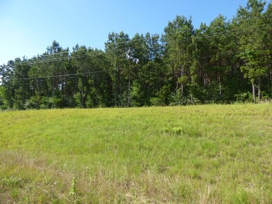 0 Hwy 98 Hwy E unit 136476, McComb, MS xxxxx - photo 5