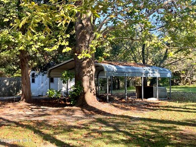 Carport shelter