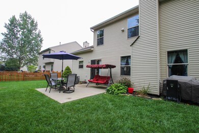 Backyard- 3