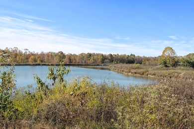 View of the Peaceful Pond Backing Directly from Large Back Yard