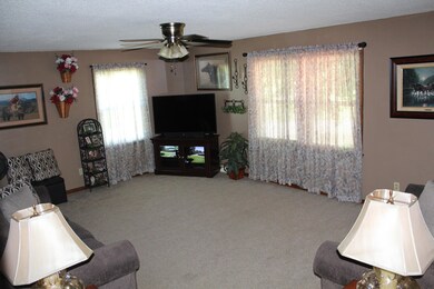 419 E 4th Ave, Watauga, TN 37694 - photo 4