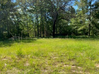 LOT 2 Landrum Rd, Lufkin, TX 75904 - photo 2