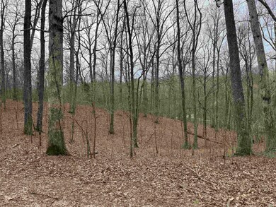 0 S Oak Forrest Dr, Cass Township, IN 47542 - photo 7