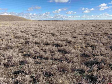 0 Lariat Rd unit 830136, Monte Vista, CO 81144 - photo 3