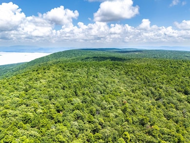 040 acers Maxwell Creek Rd, Clayton, OK 74536 - photo 7