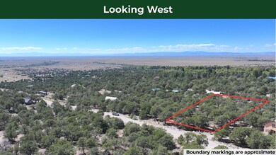 1915 Lone Pine Way, Crestone, CO 81131 - photo 2