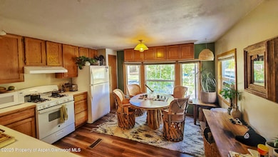 137 Ridge Trail, Aspen, CO 81611 - photo 6