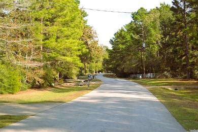 24854 Shady Oaks Blvd, Montgomery, TX 77316 - photo 3