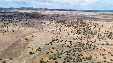 0 W True Grit Trail Lot A -- unit 6880737, Ash Fork, AZ 86320 - photo 6