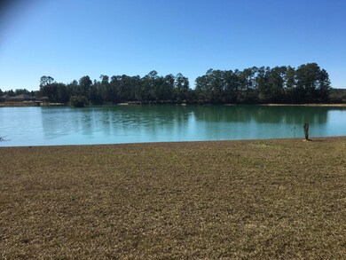 hudson krohn pond from porch
