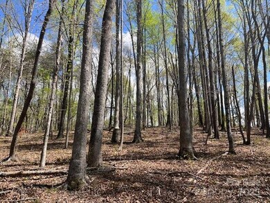 1600 Whiteside Rd, Mill Spring, NC 28756 - photo 4