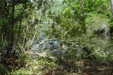Rear of property on bayou